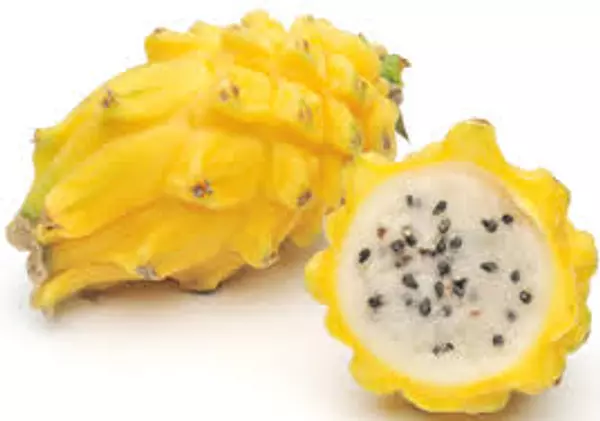 Pitaya