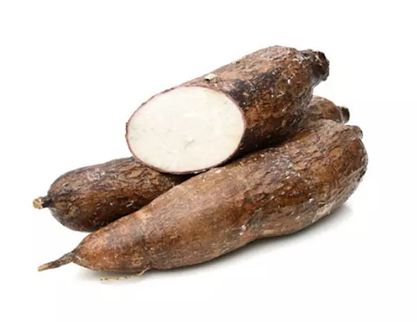 Yuca Llanera Pareja